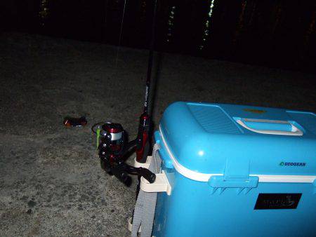 アジは気まぐれ