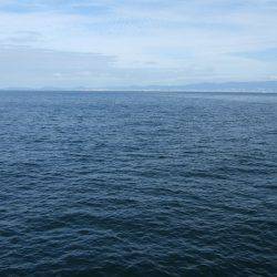 ジギングサビキ初挑戦