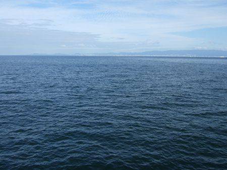 ジギングサビキ初挑戦