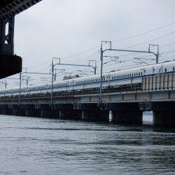 ウェーディングタコ