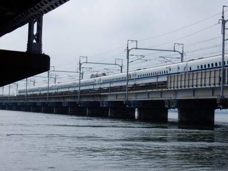 ウェーディングタコ