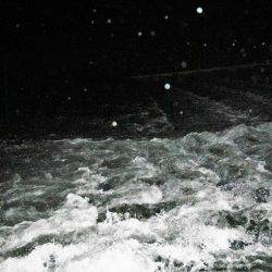 リバーでニゴイ