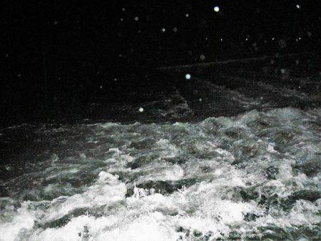 リバーでニゴイ