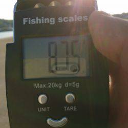 仕事出張でエギング