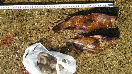 ３日連続の本命