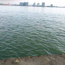 お手軽電気浮き釣り