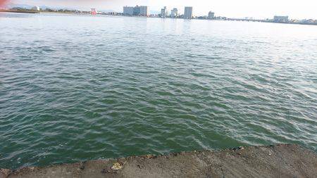 お手軽電気浮き釣り