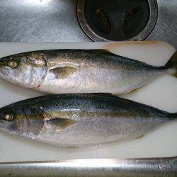 やっぱり景色がいいと思います！