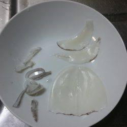 ケンサキイカ狙い