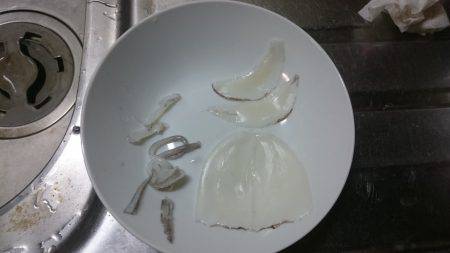 ケンサキイカ狙い