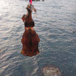 強風の中でショート