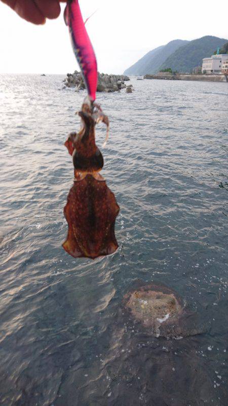 強風の中でショート