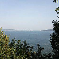 ケンサキ殲滅作戦