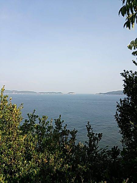 ケンサキ殲滅作戦