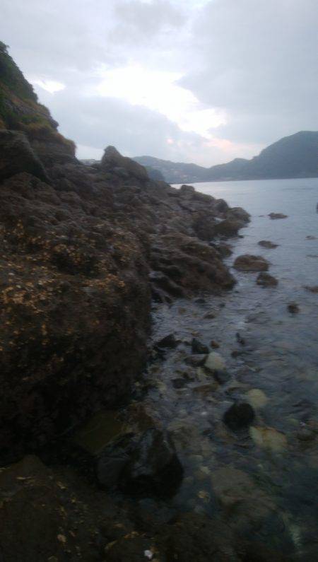 ロックフィッシュ