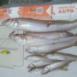 シーバス＆キス釣り