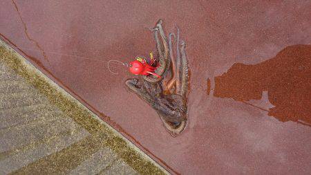 アジ タコ ジグサビキ