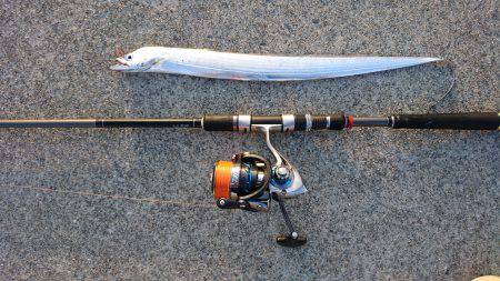 タチウオとアジ