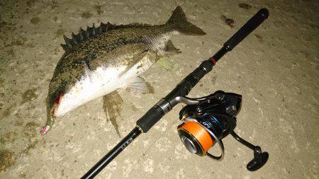 またまたキビレ…