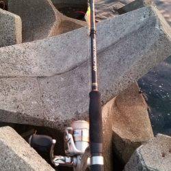 Teamゲッソー調査隊長