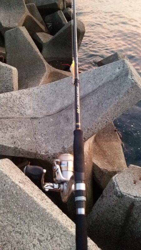 Teamゲッソー調査隊長