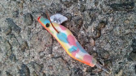 team\’ゲッソー調査部隊