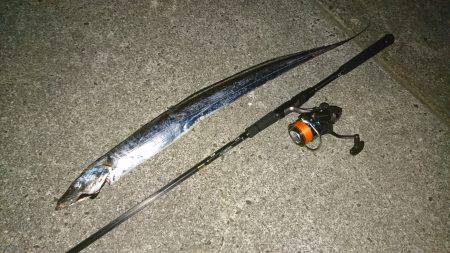 タチウオ好調！