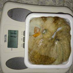 遠くのタコは重いぞ