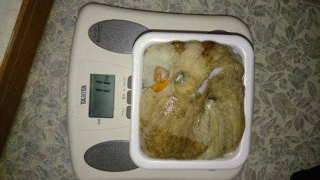 遠くのタコは重いぞ