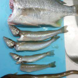 狙い通りだが…