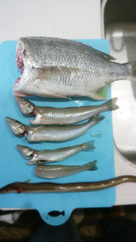 狙い通りだが…