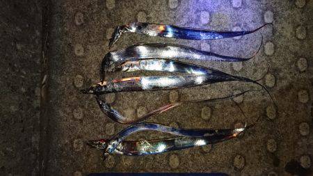 思わぬゲストが…