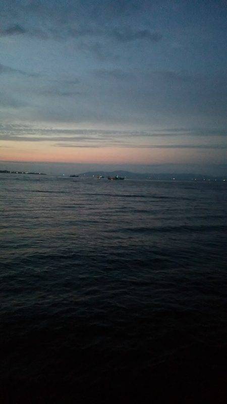 エギング ジギング