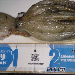 またマッチョなやつに