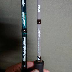 太刀魚のちデイアジング