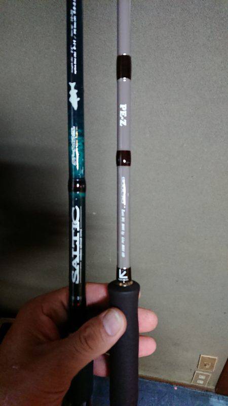 太刀魚のちデイアジング