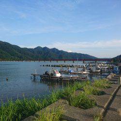 チヌ狙いにヒラメ(笑)