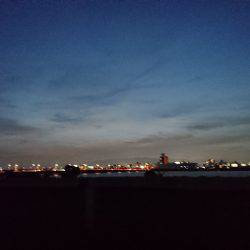 淀川ハゼ好調？