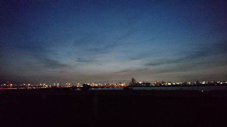 淀川ハゼ好調？