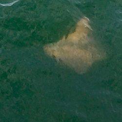 隊長、エソ番長へ‼️