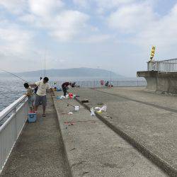 昨日の今日で…。