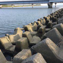 千種川河口で手長エビ釣り