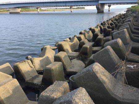 千種川河口で手長エビ釣り