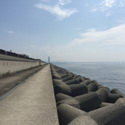 ライトゲームで癒されてきました。