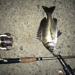 音漏れフィッシング