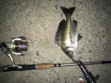 音漏れフィッシング