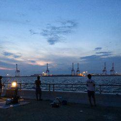 朝からコスモ夕方まで〜✌️