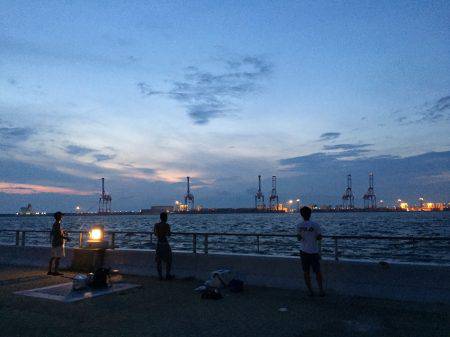 朝からコスモ夕方まで〜✌️