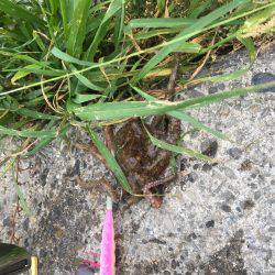 休日の早朝に♪