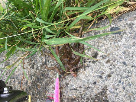 休日の早朝に♪